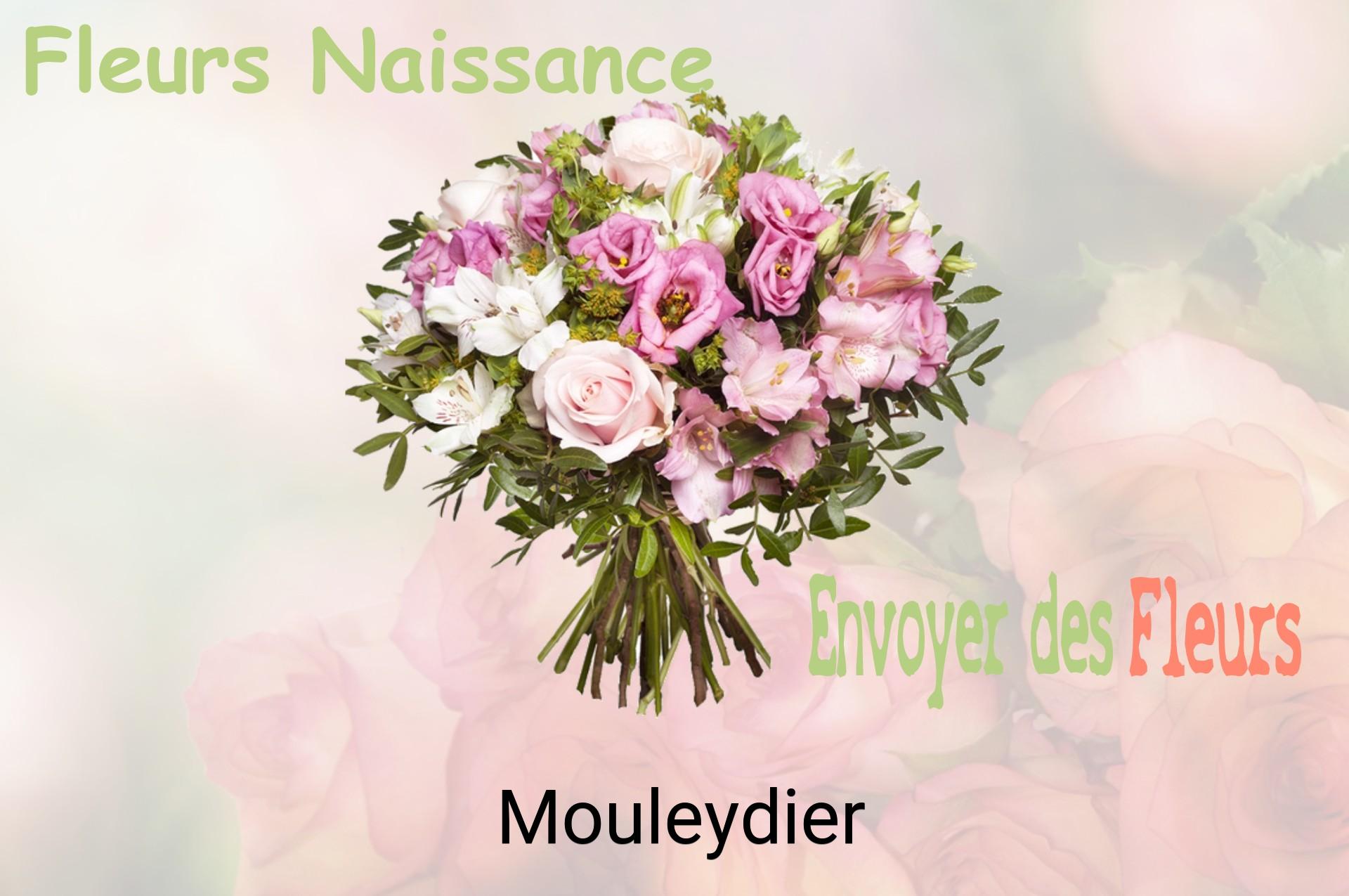 Bouquet de fleurs de naissance livré à Mouleydier